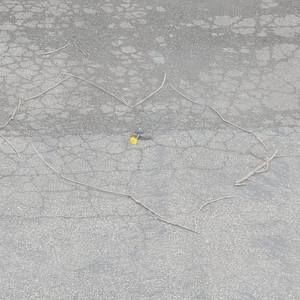 Meet your Posher, Nathan